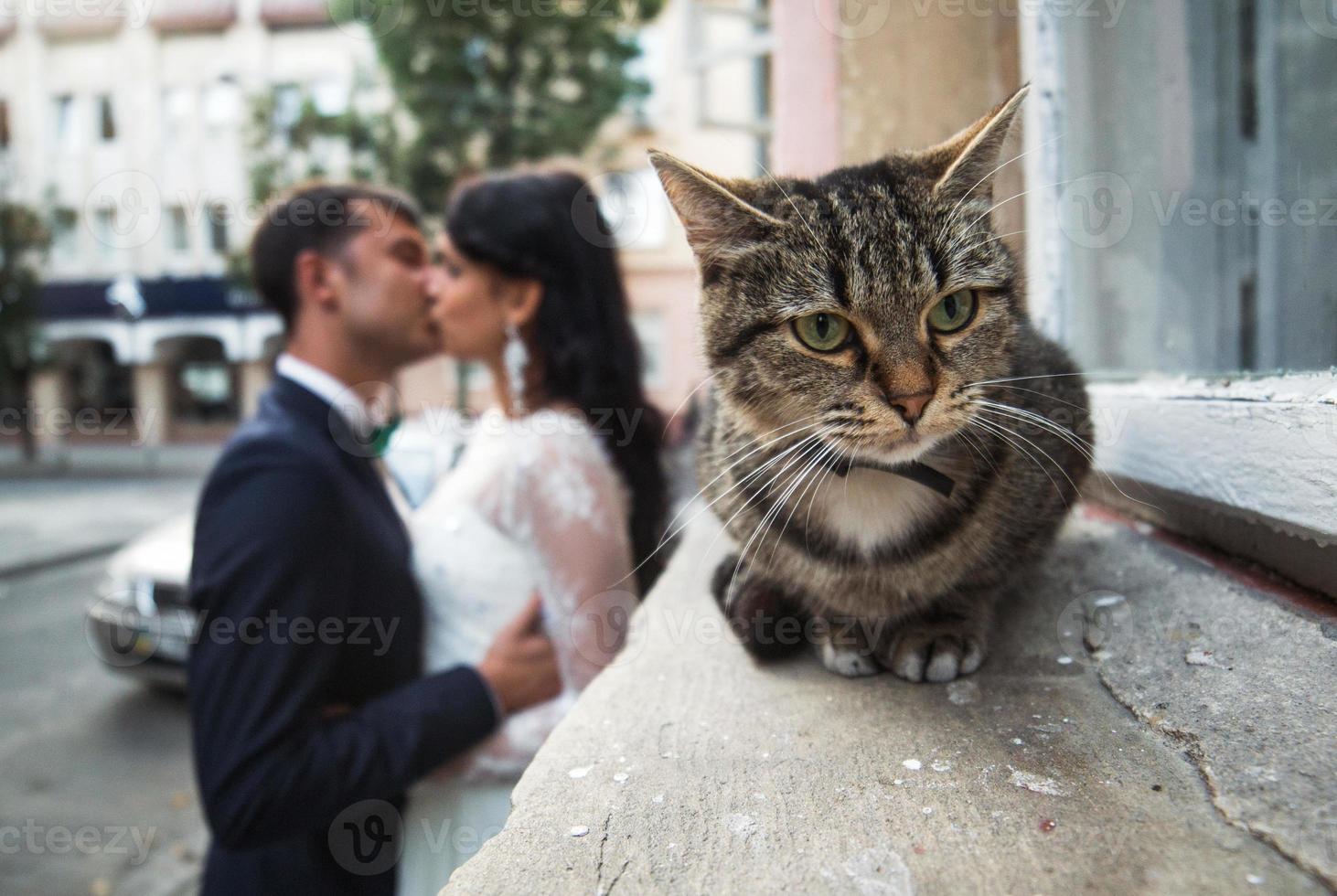 Couple together view photo