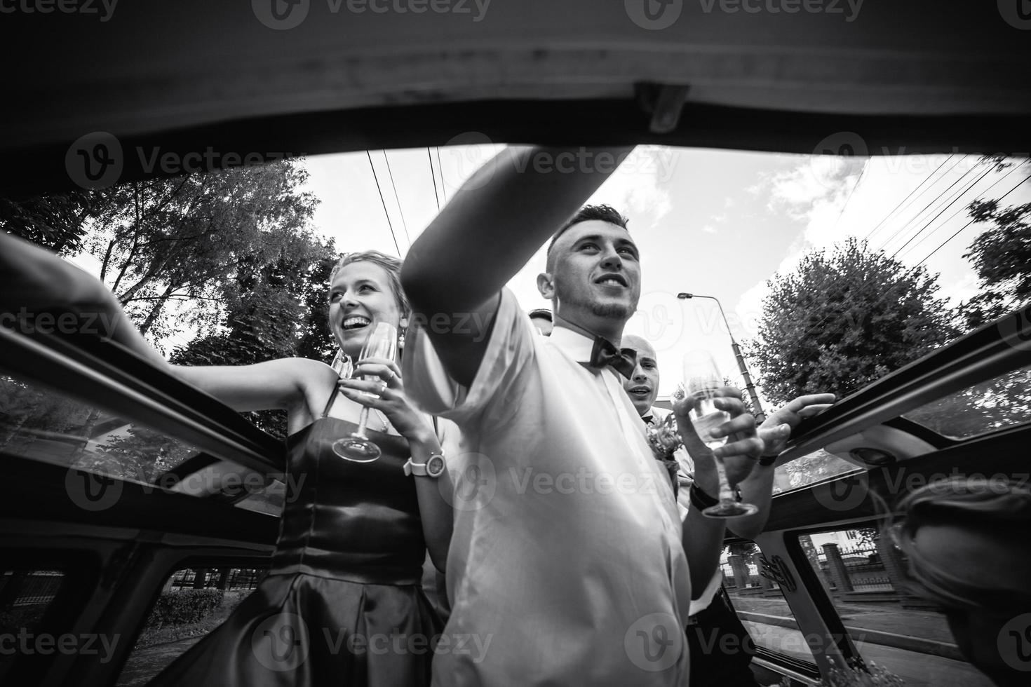 Wedding party view photo