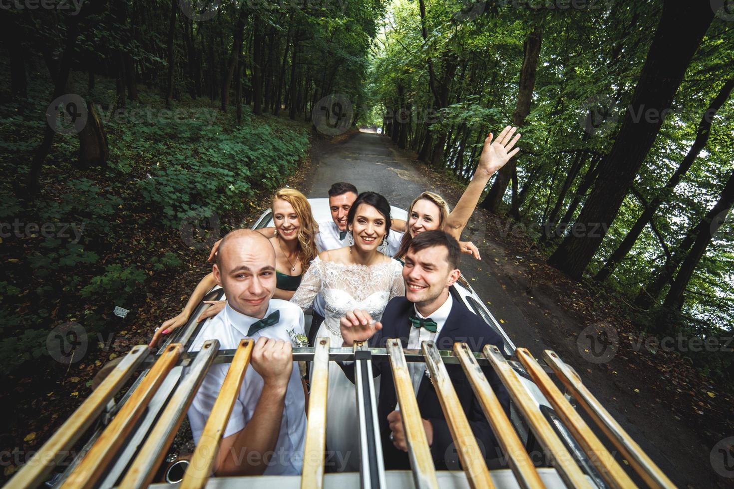 Wedding party view photo