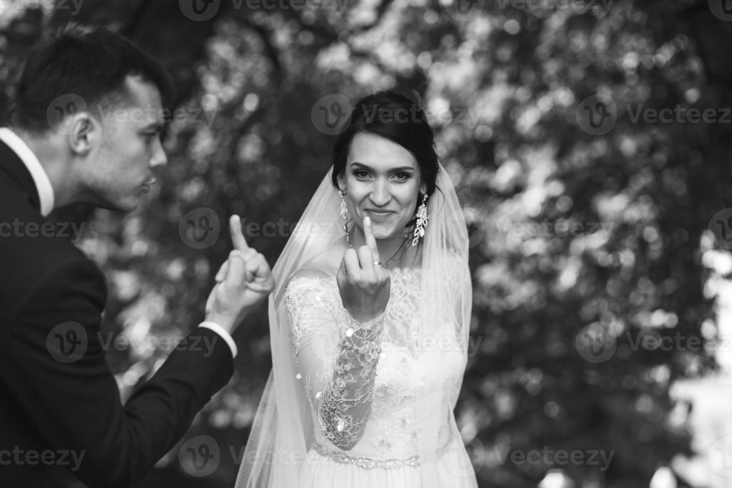 Wedding party view photo