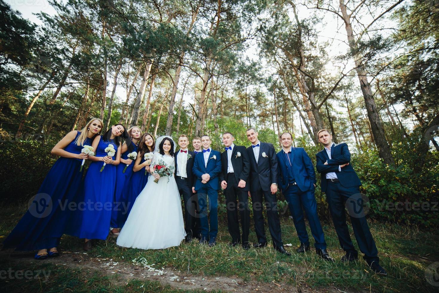 Wedding party view photo