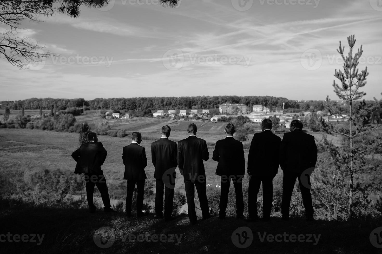 Wedding party view photo