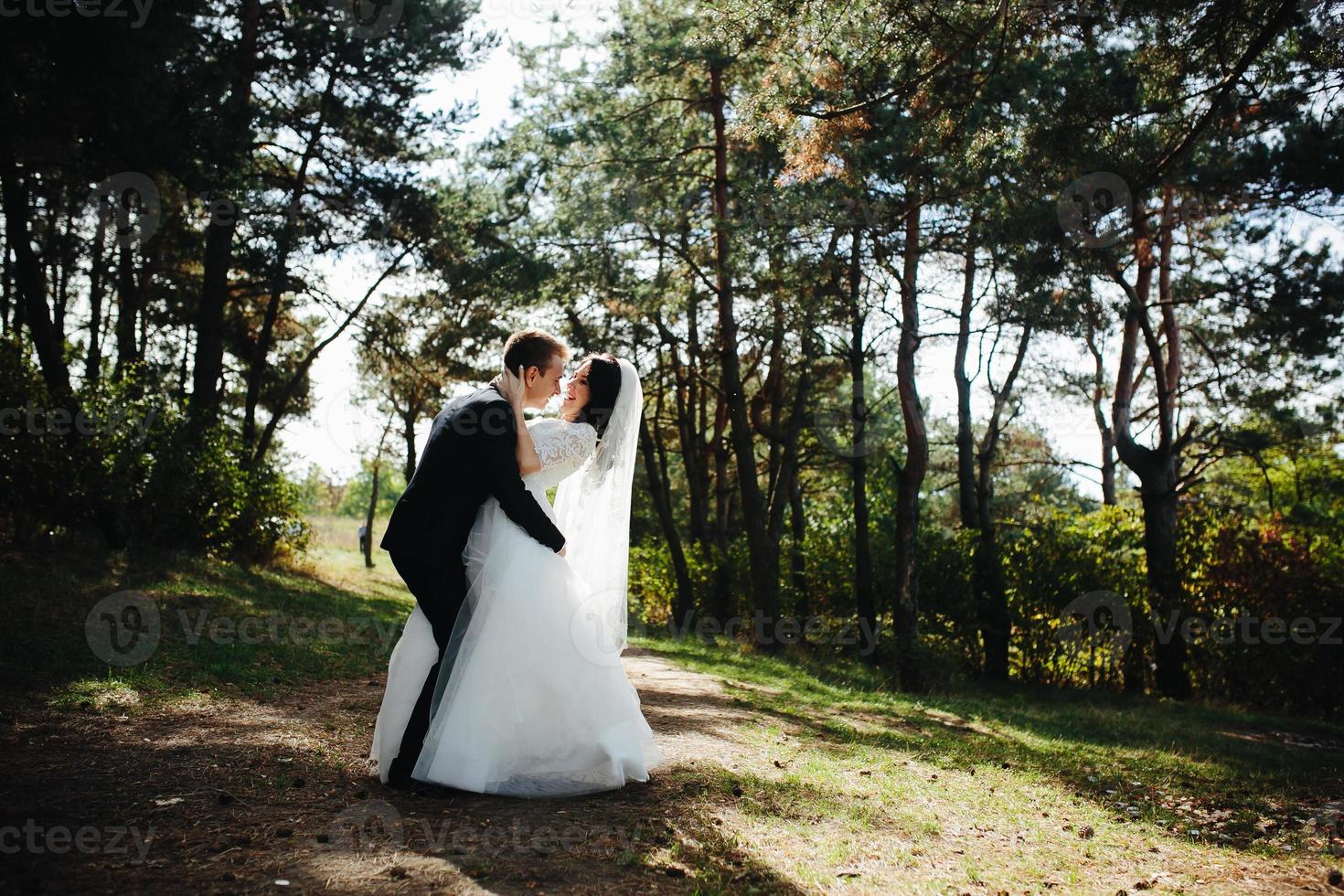 Wedding party view photo