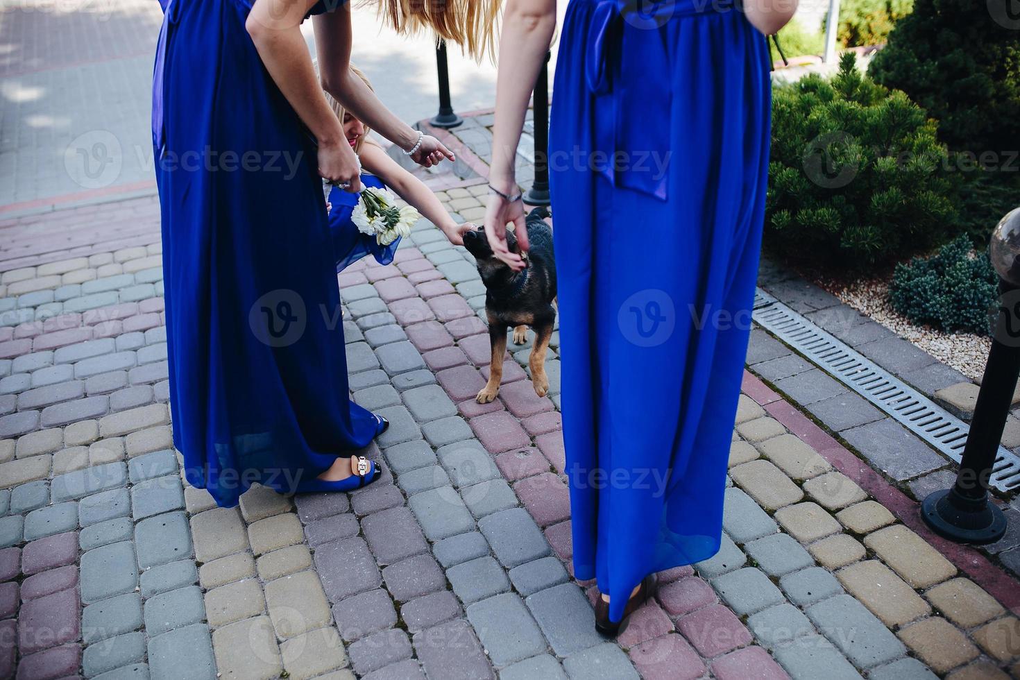 Wedding party view photo