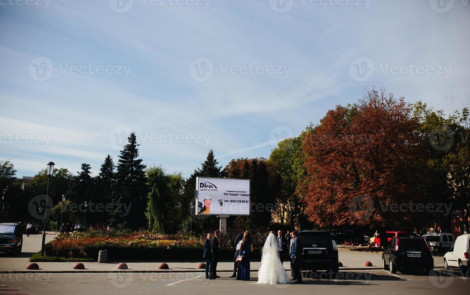 Wedding party view photo