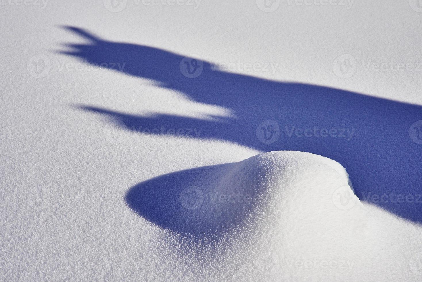 A shadow from something photo