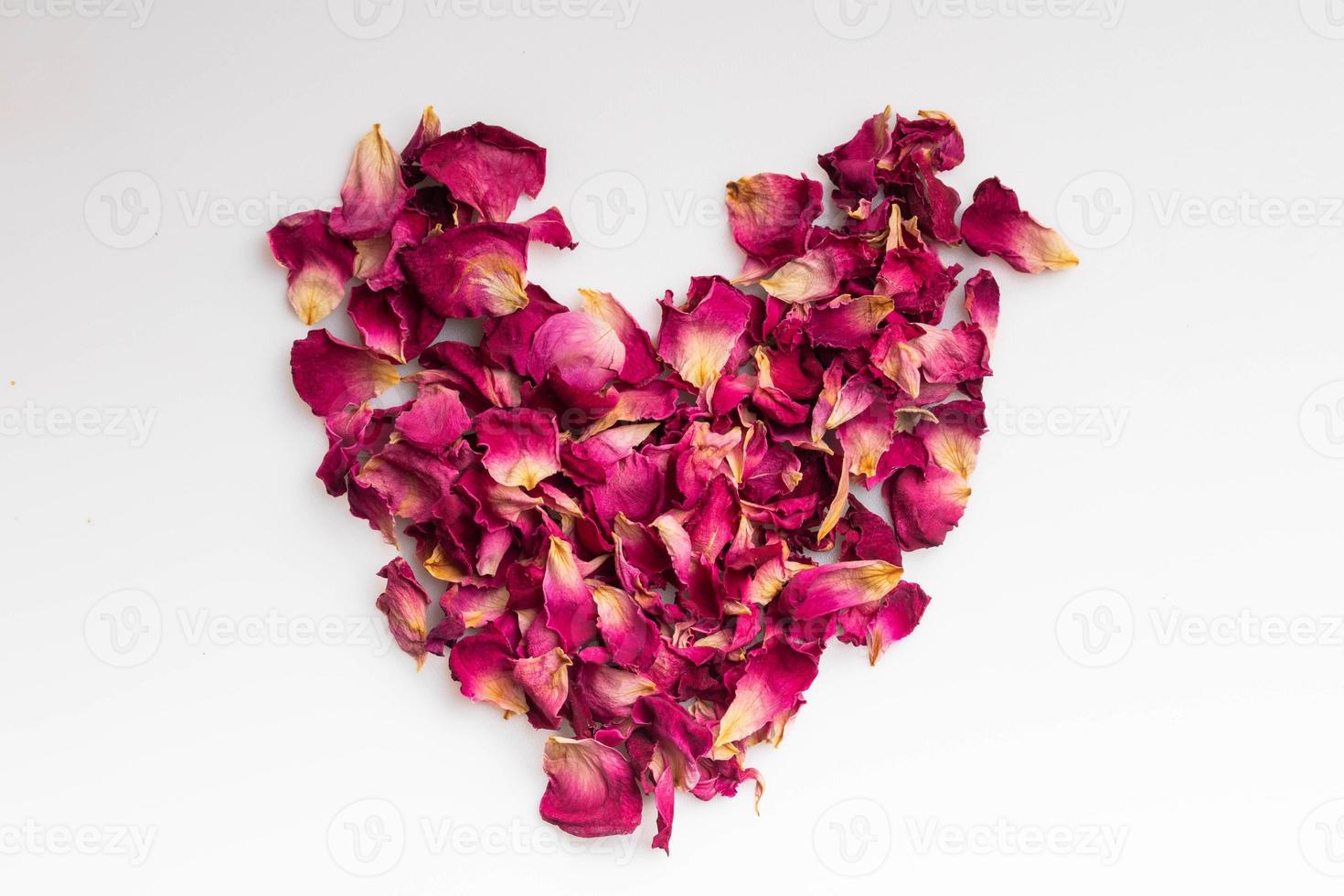 dried pink roses on a white background 12562611 Stock Photo at Vecteezy