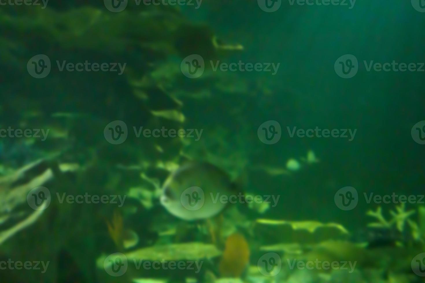 Underwater ocean abstract blur for background photo