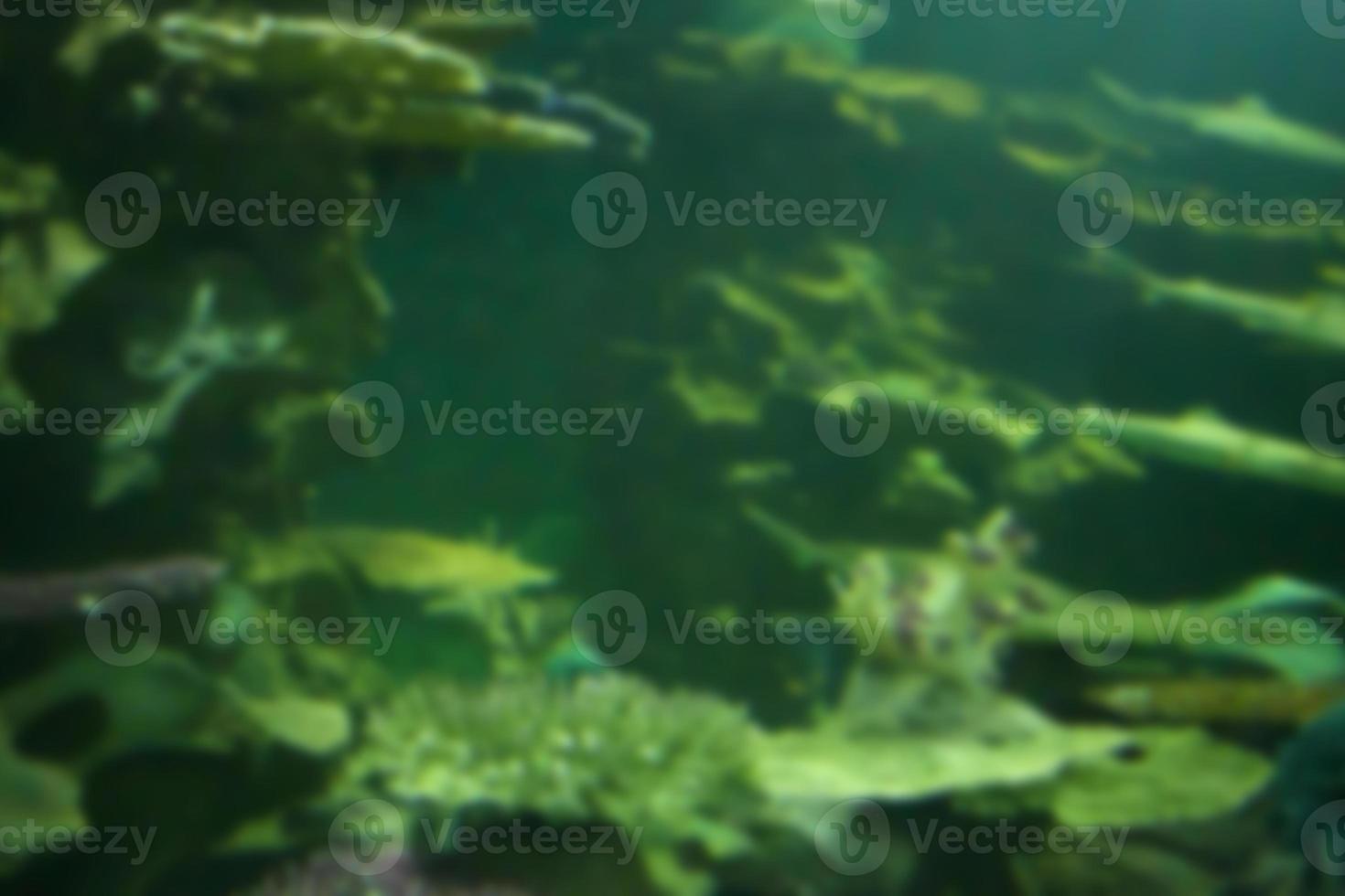 Underwater ocean abstract blur for background photo