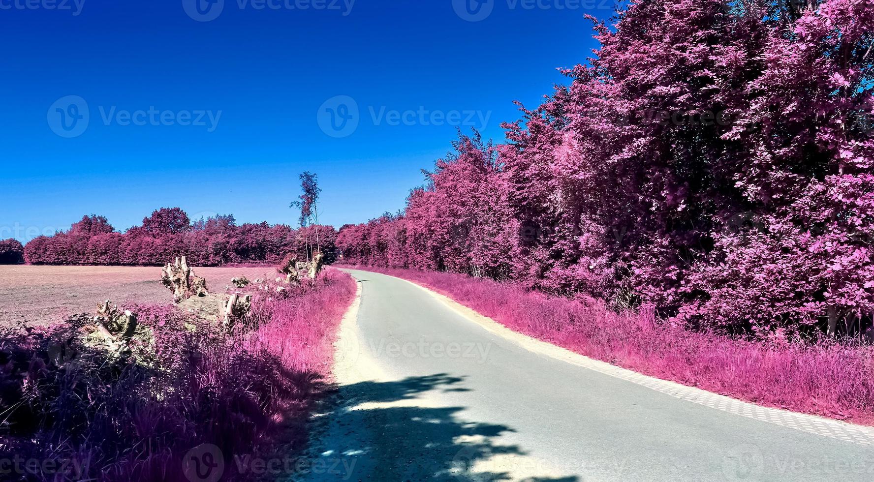 Beautiful purple infrared landscape in hires. photo