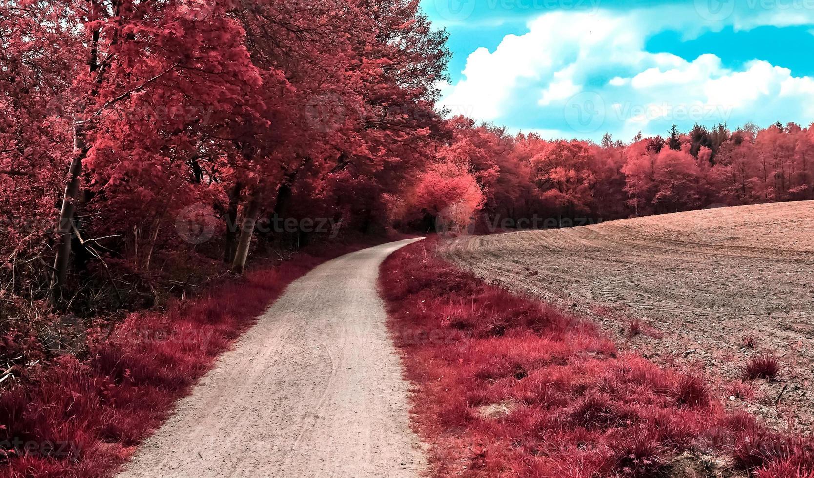 hermoso paisaje infrarrojo púrpura en alta resolución foto