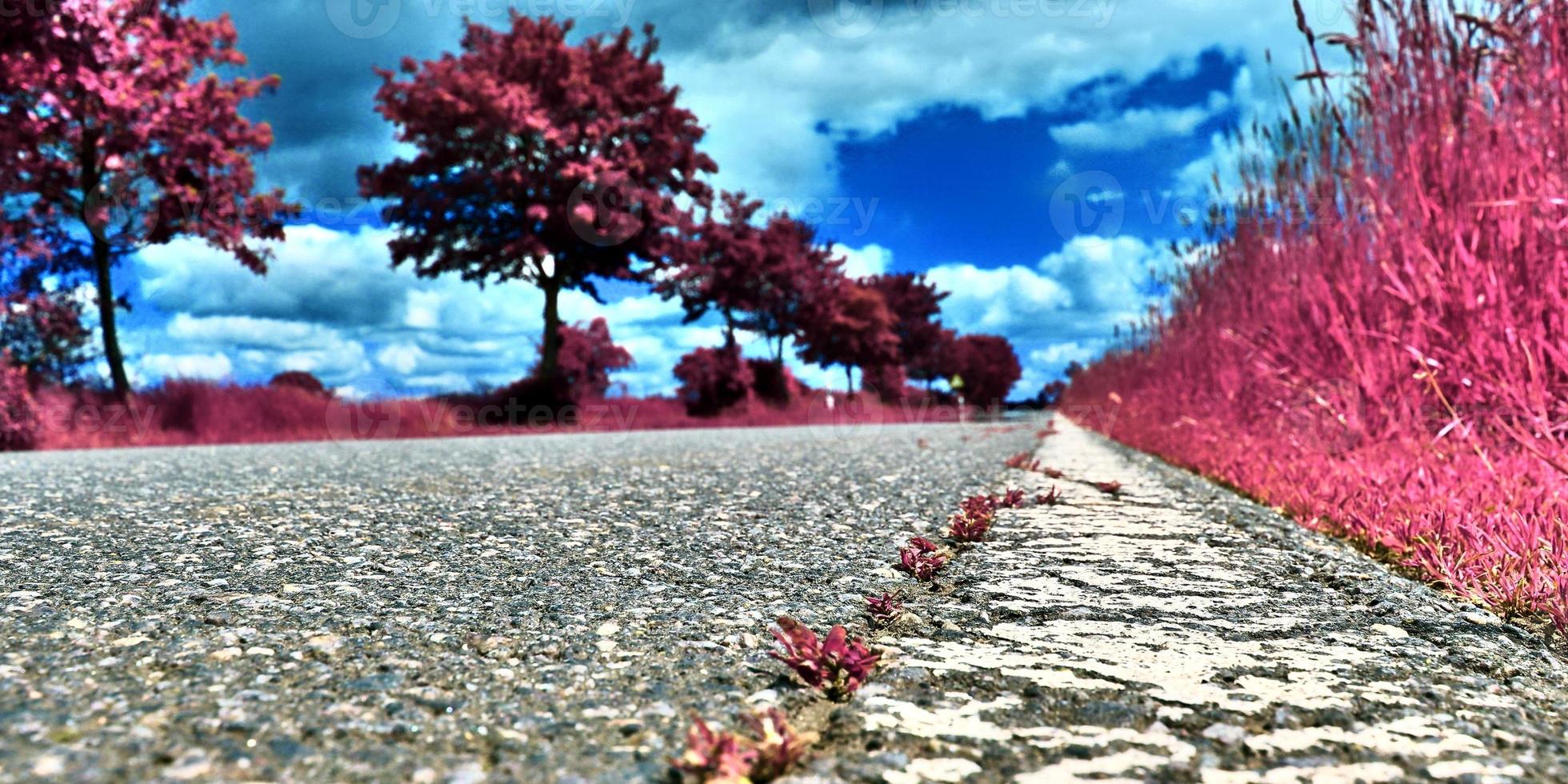 Beautiful purple infrared landscape in high resolution photo