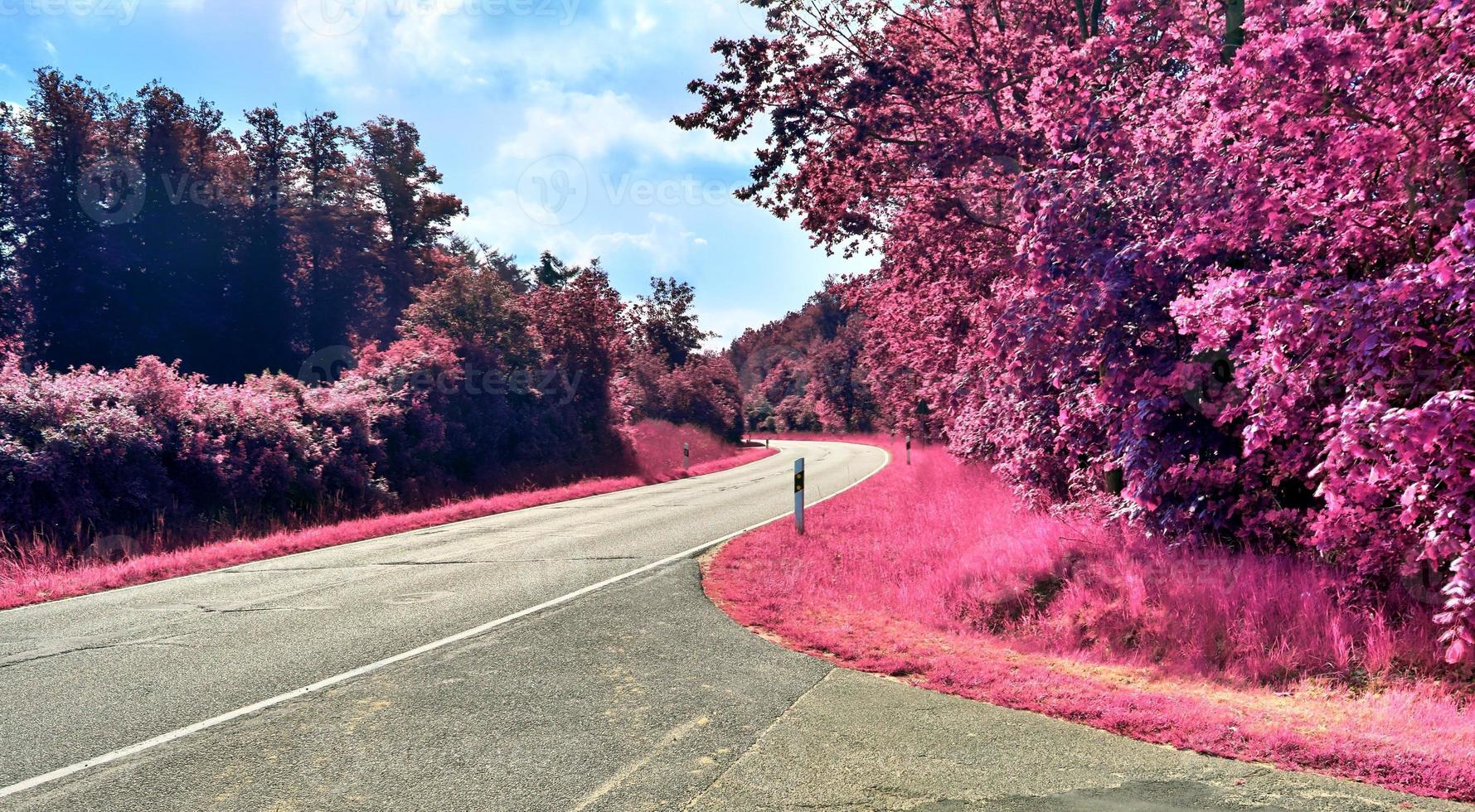 Beautiful purple infrared landscape in high resolution photo