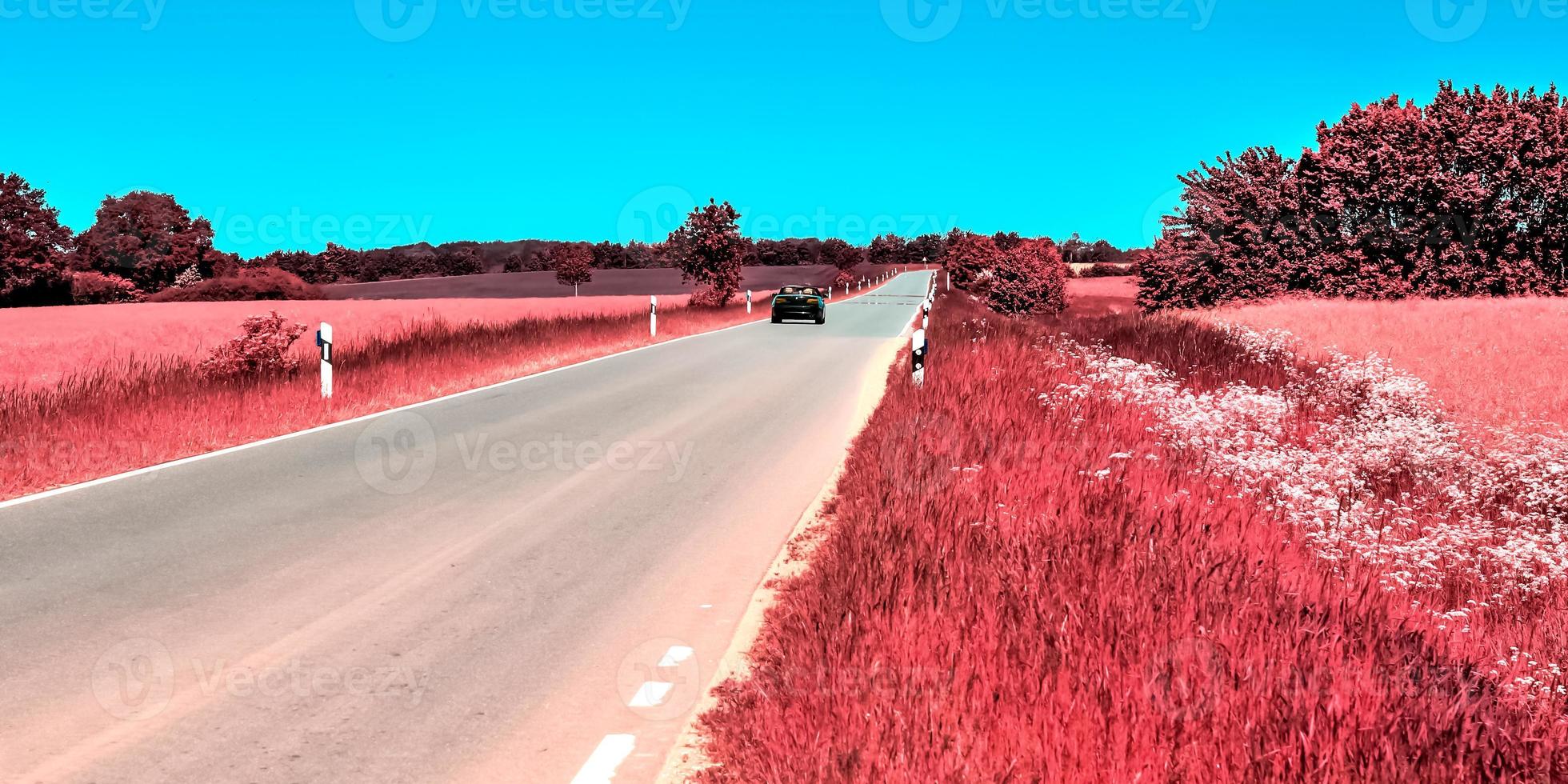 Beautiful purple infrared landscape in hires. photo