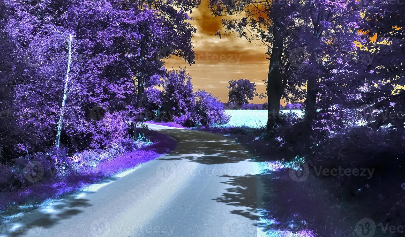 Beautiful purple infrared landscape in hires. photo