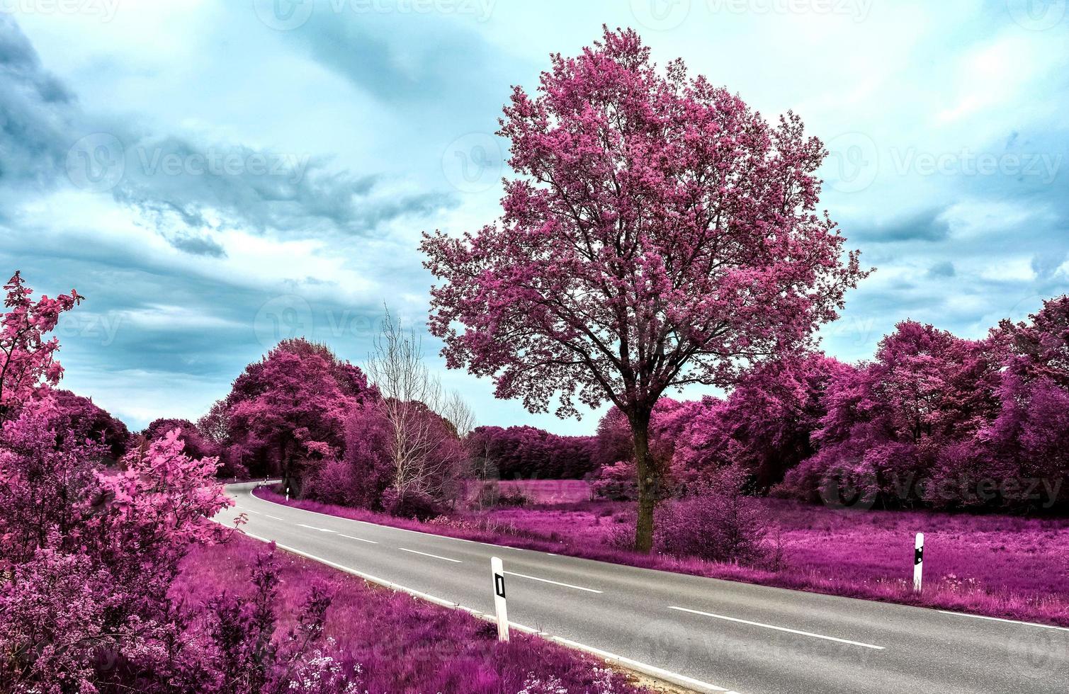 Beautiful purple infrared landscape in high resolution photo