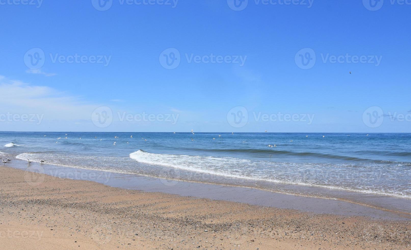 Ocean Waves Lapping the Shore Along Cape Cod photo