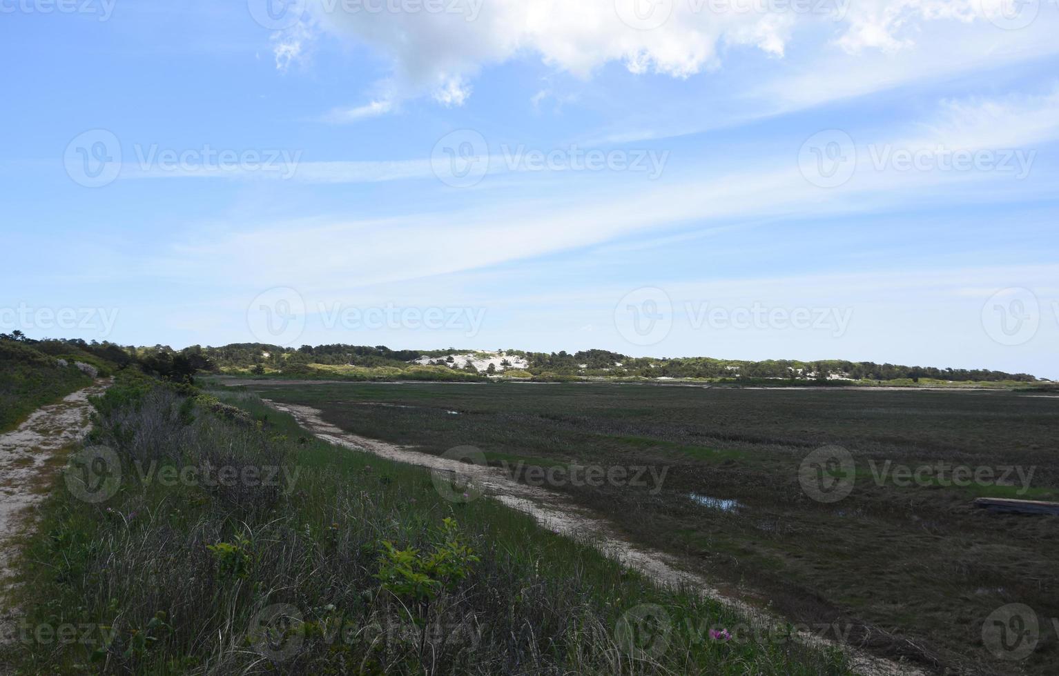 Tidal Flats and Path Ways Along the Outer Cape photo