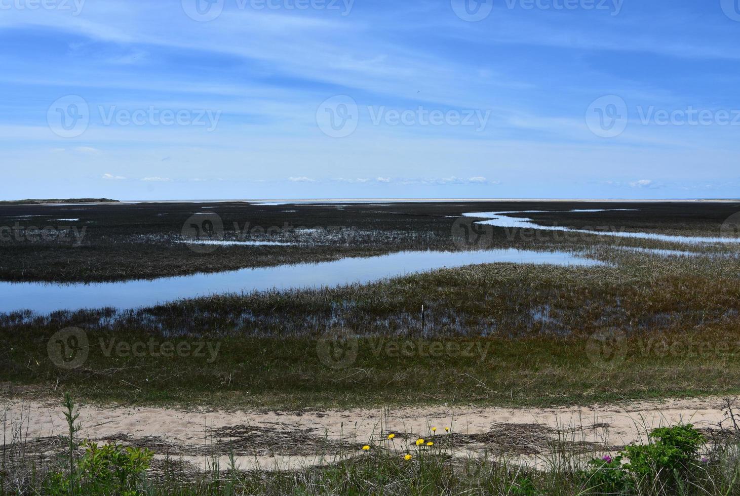 Stunning Scenic Views of Tidal Flats on the Cape photo