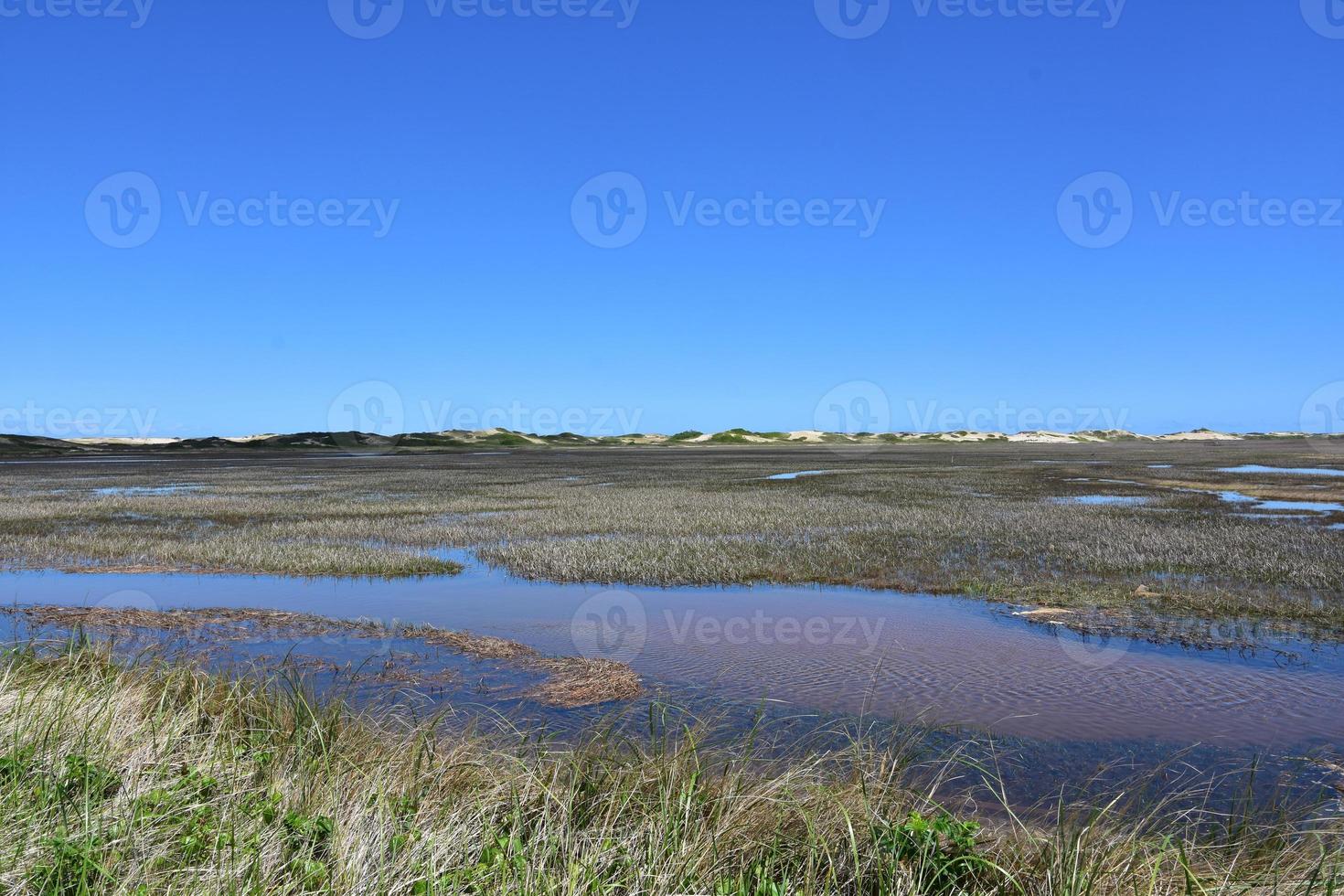 Lovely View of Tidal Flats Along Cape Cod photo