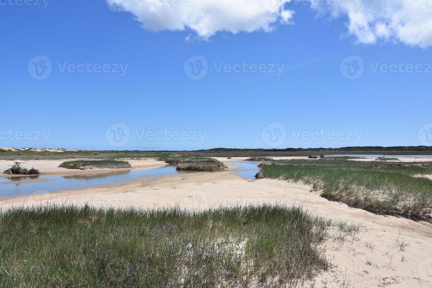 Salt Marsh and Sands Along Tidal Pools on the Cape photo