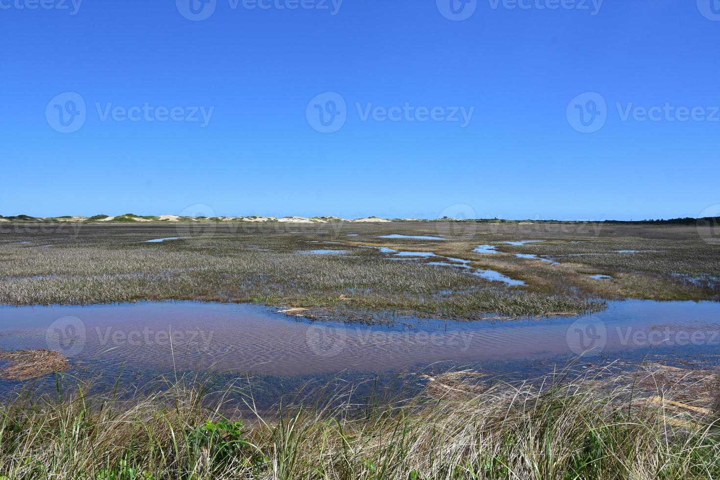 Small Creek and River Flowing through Tidal Lands photo