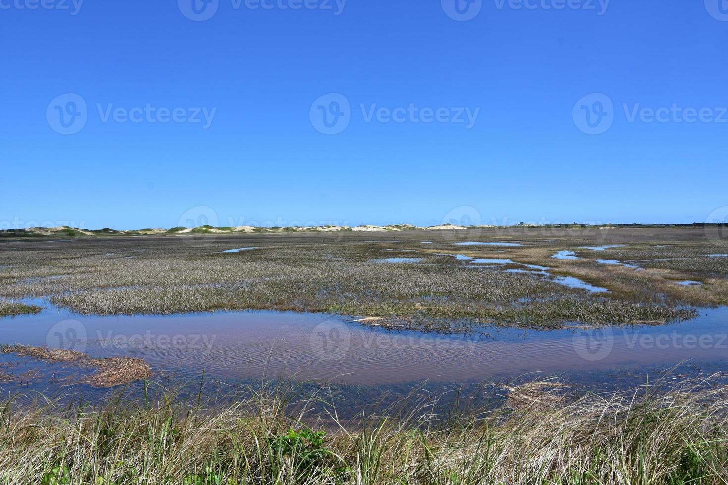 Flowing Water in Tide Pools in a Marsh photo