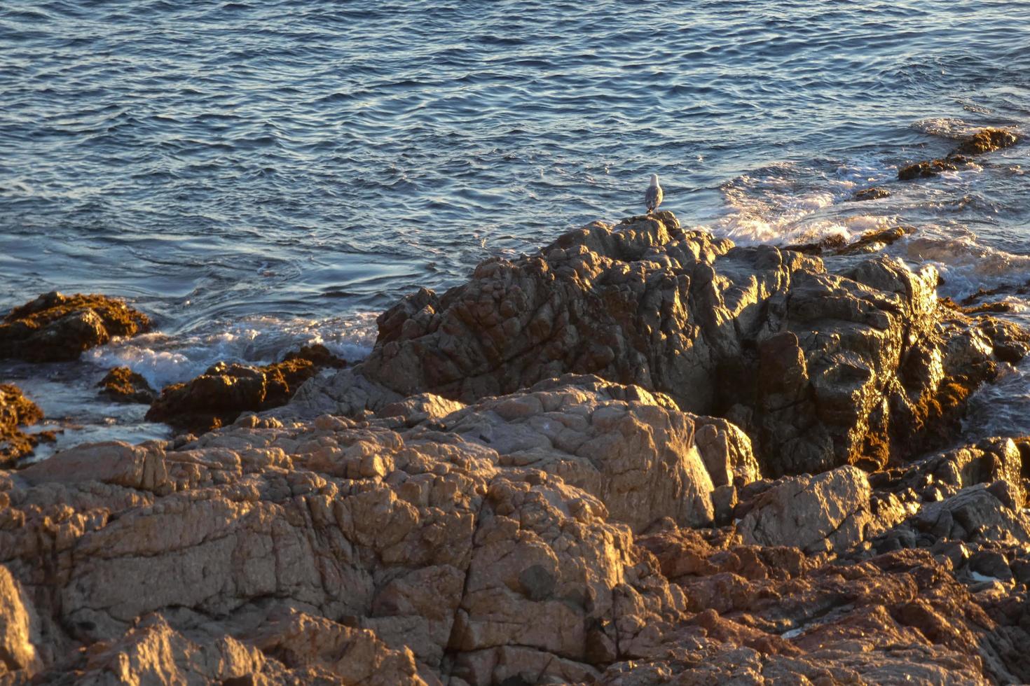 Rocks on the Costa Brava with calm blue sea photo