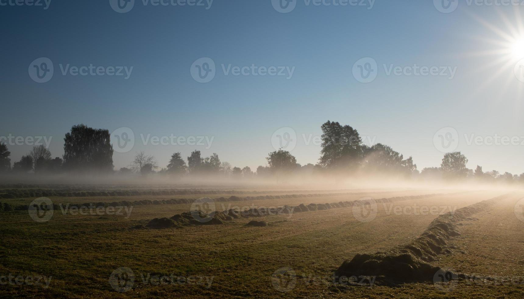 The sun rises in autumn over a freshly mowed field with the grass still lying on it. The fog hovers over the ground. The sky is blue and red. photo