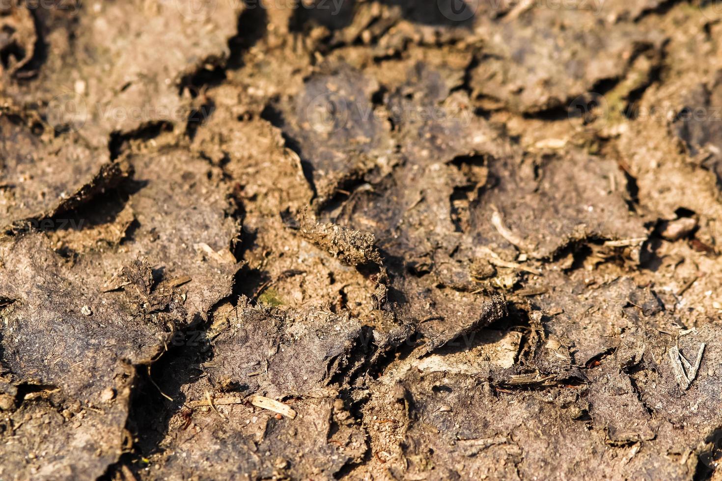 Detailed close up view on dry agricultural grounds and acre in high resolution photo