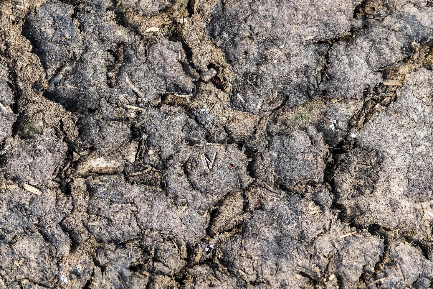 Detailed close up view on dry agricultural grounds and acre in high resolution photo