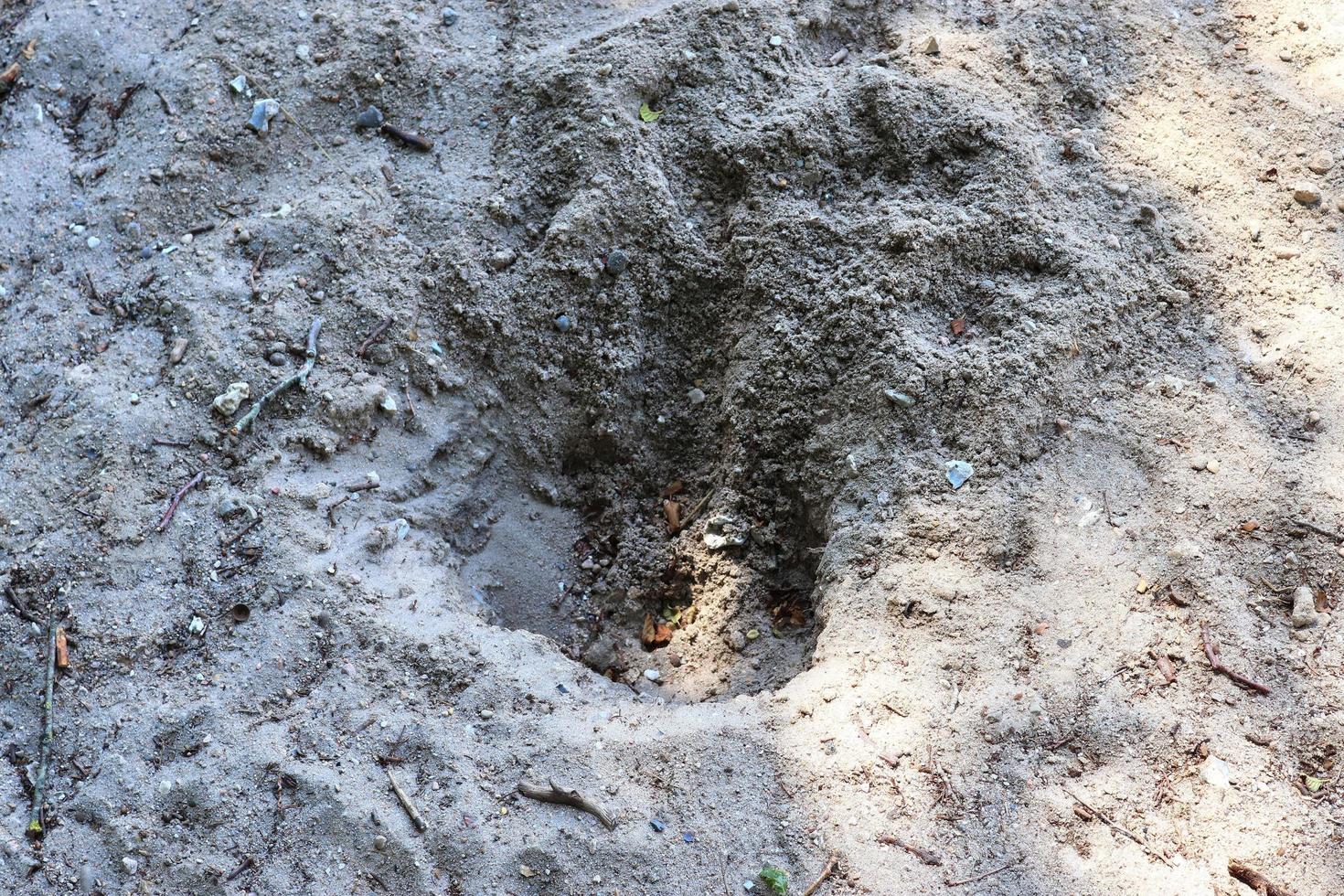 Detailed close up view on a brown sand ground texture photo