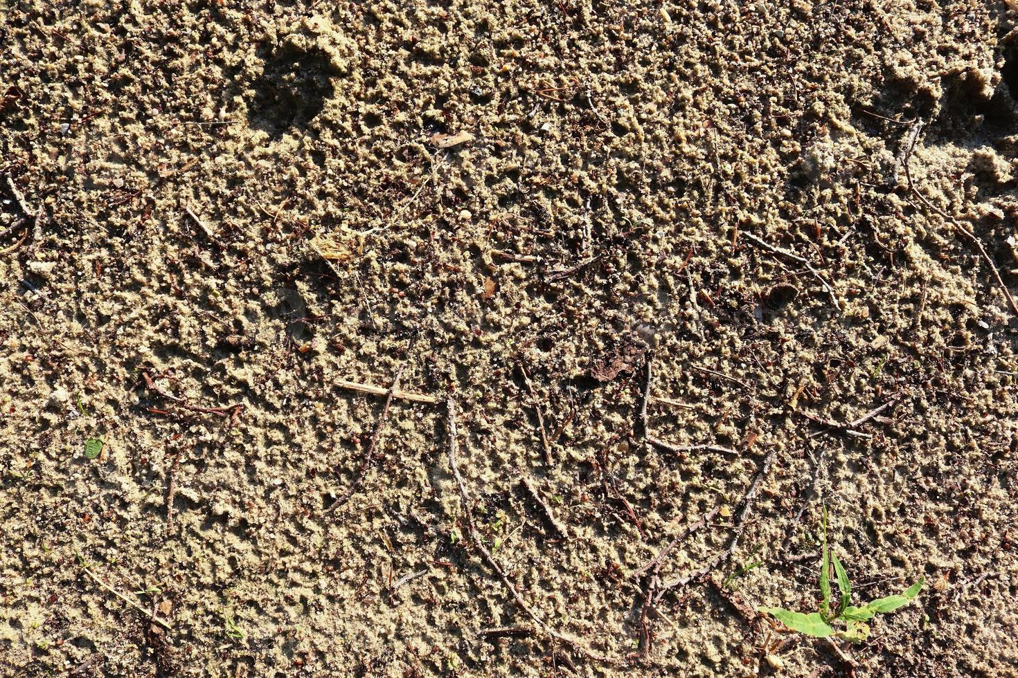 Detailed close up view on a brown sand ground texture photo