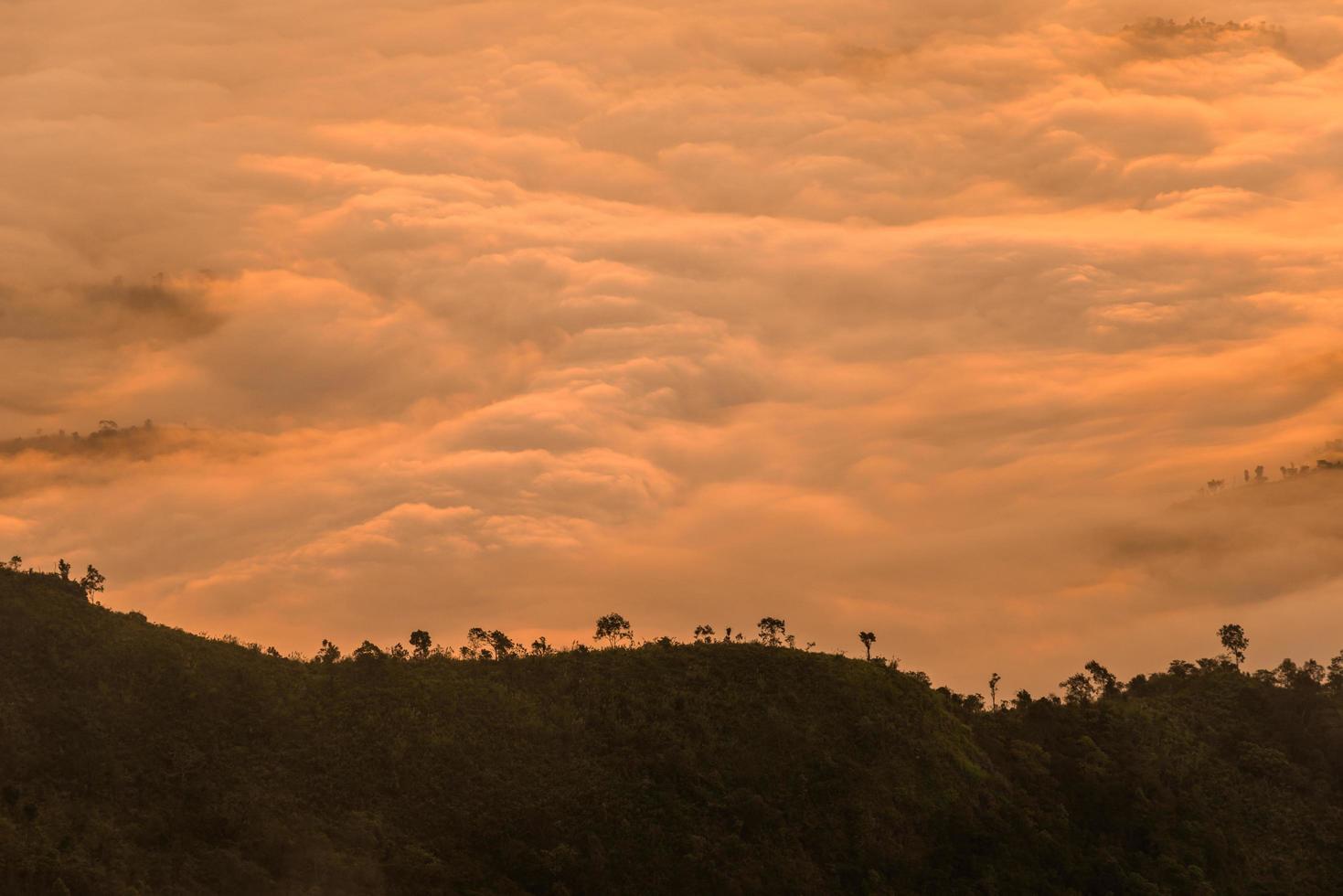 The beautiful sea mist cover the highland mountains named Phu Chi Dao located in Chiang Rai province in the northern region of Thailand. photo