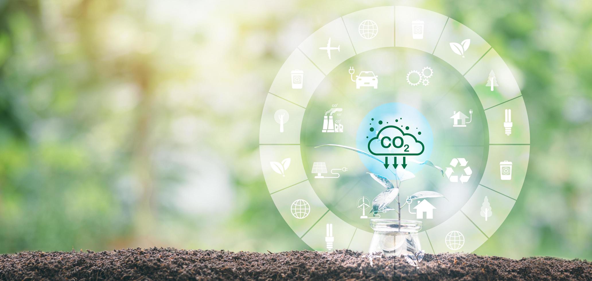 Industrial emissions pollute the environment and ecosystems. including climate change Carbon Renewable Energy Agreement reduce greenhouse gas emissions ,plants in a glass jar, nature background photo