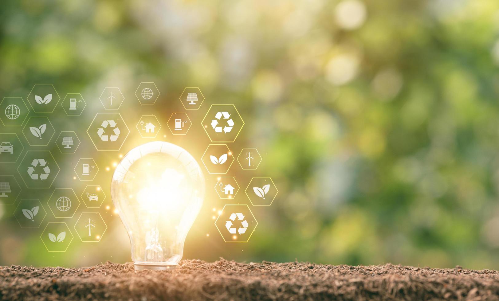 light bulbs and icons on nature background,protecting the environment alternative energy Sustainable renewable energy sources Green energy innovation and environmentally friendly energy technology. photo