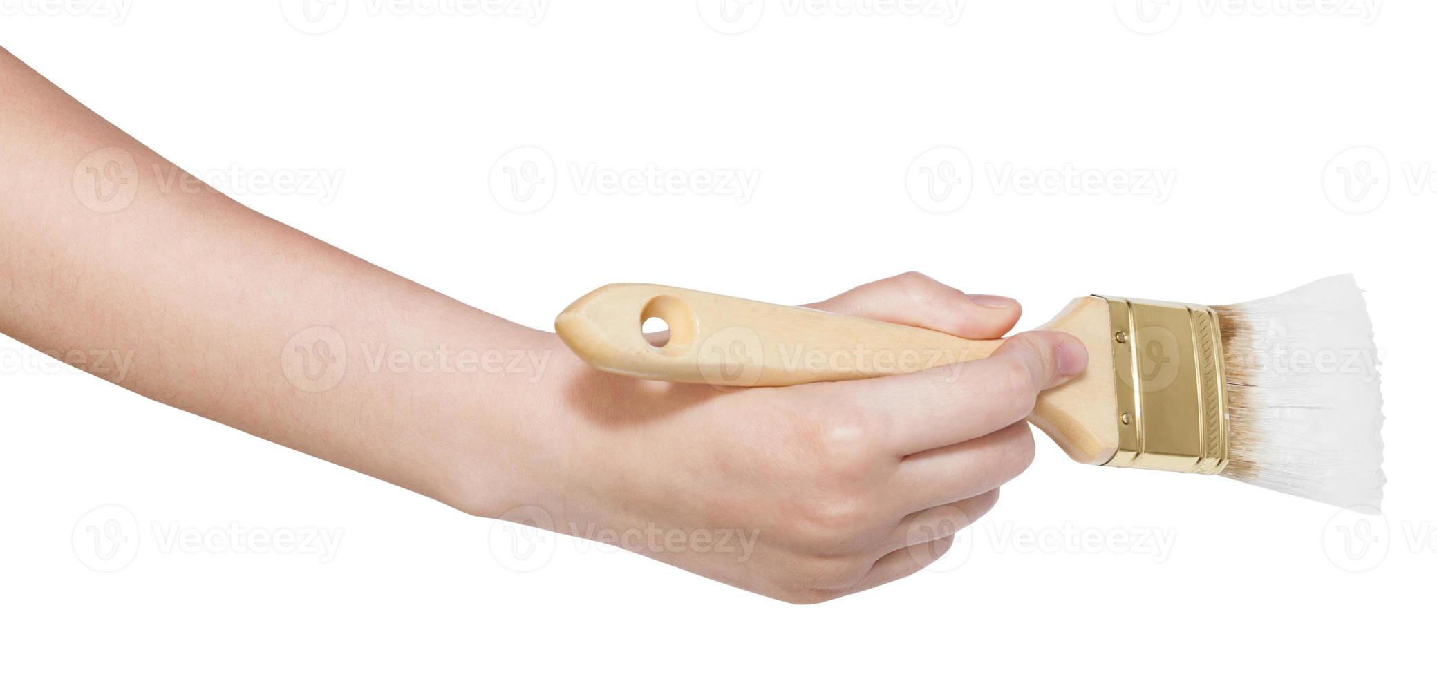 painter hand with flat paintbrush paints in white photo