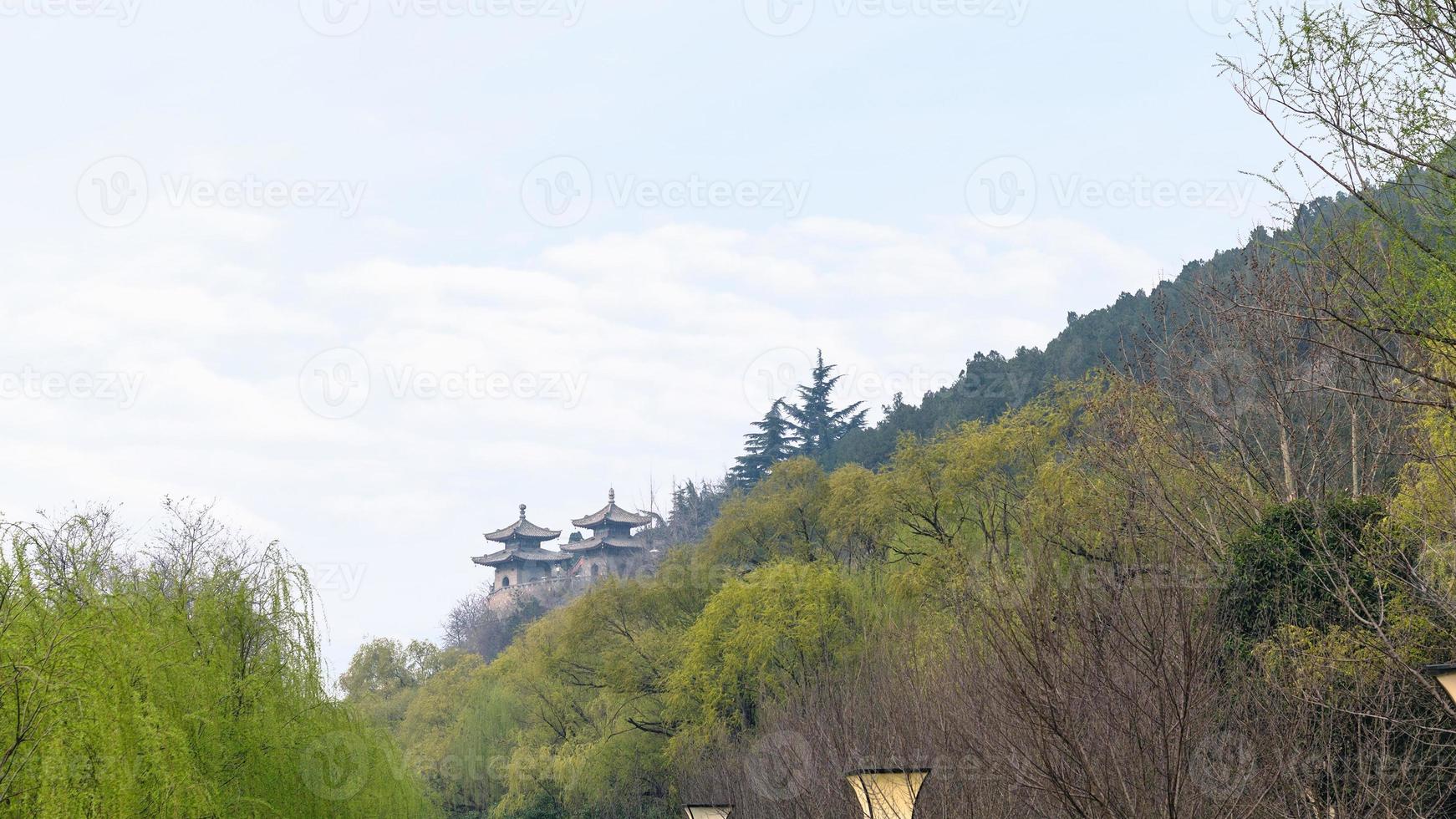 view of pagodas in green garden photo