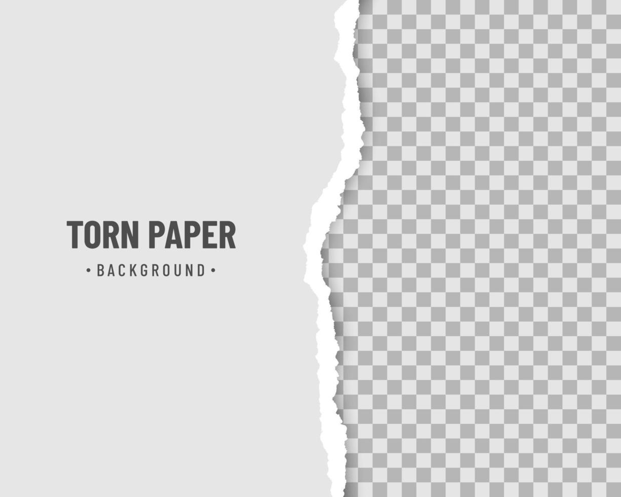 Torn paper edges on transparent background vector