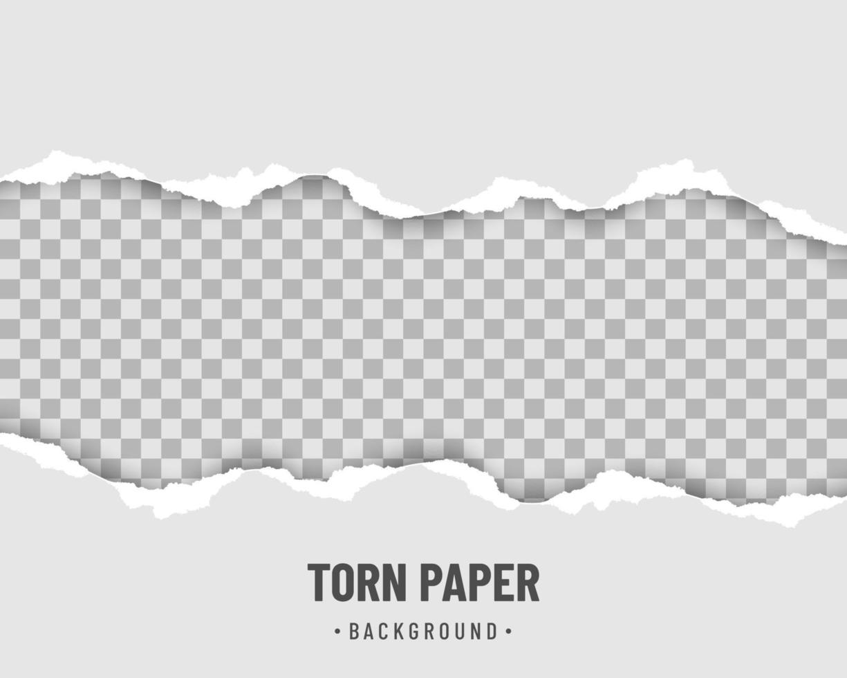Horizontal pieces of torn paper edge with soft shadow vector