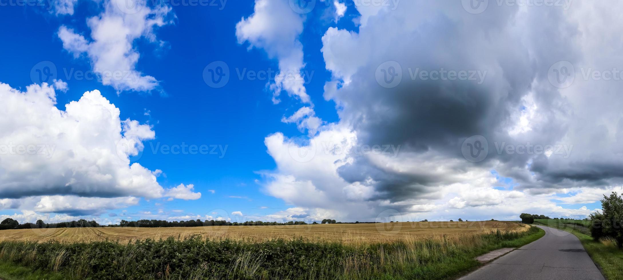 Beautiful high resolution panorama of a landscape with fields and green grass found in Denmark and Germany. photo