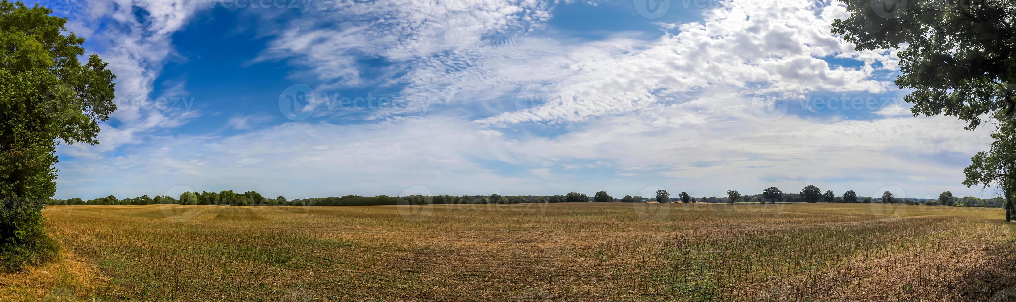 hermoso panorama de alta resolución de un paisaje con campos y hierba verde que se encuentra en dinamarca y alemania. foto