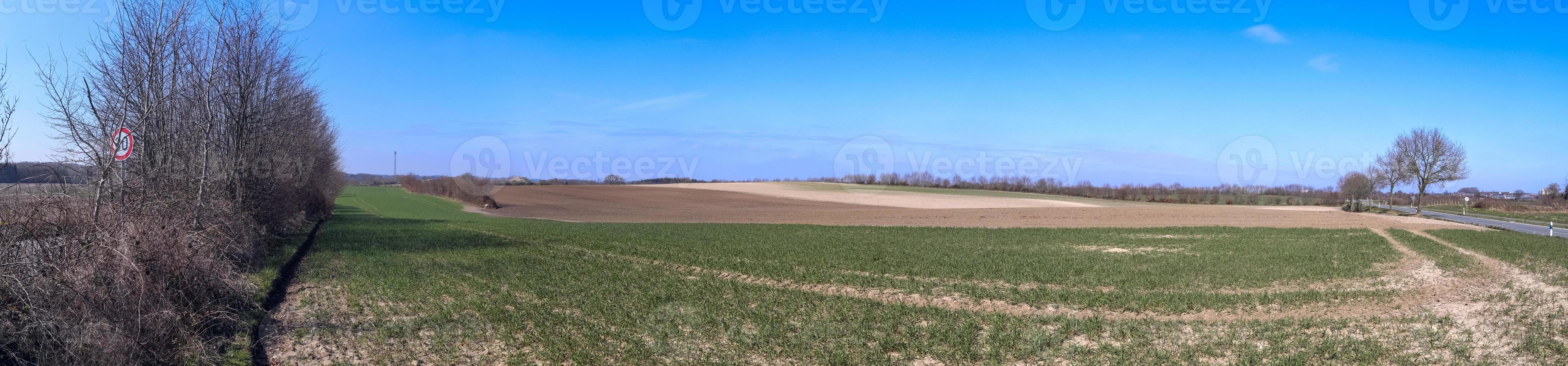 Beautiful high resolution panorama of a northern european country landscape with fields and green grass photo