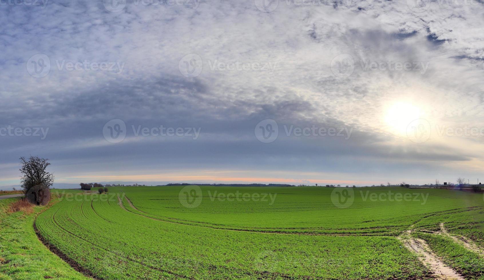 Beautiful high resolution panorama of a northern european country landscape with fields and green grass photo