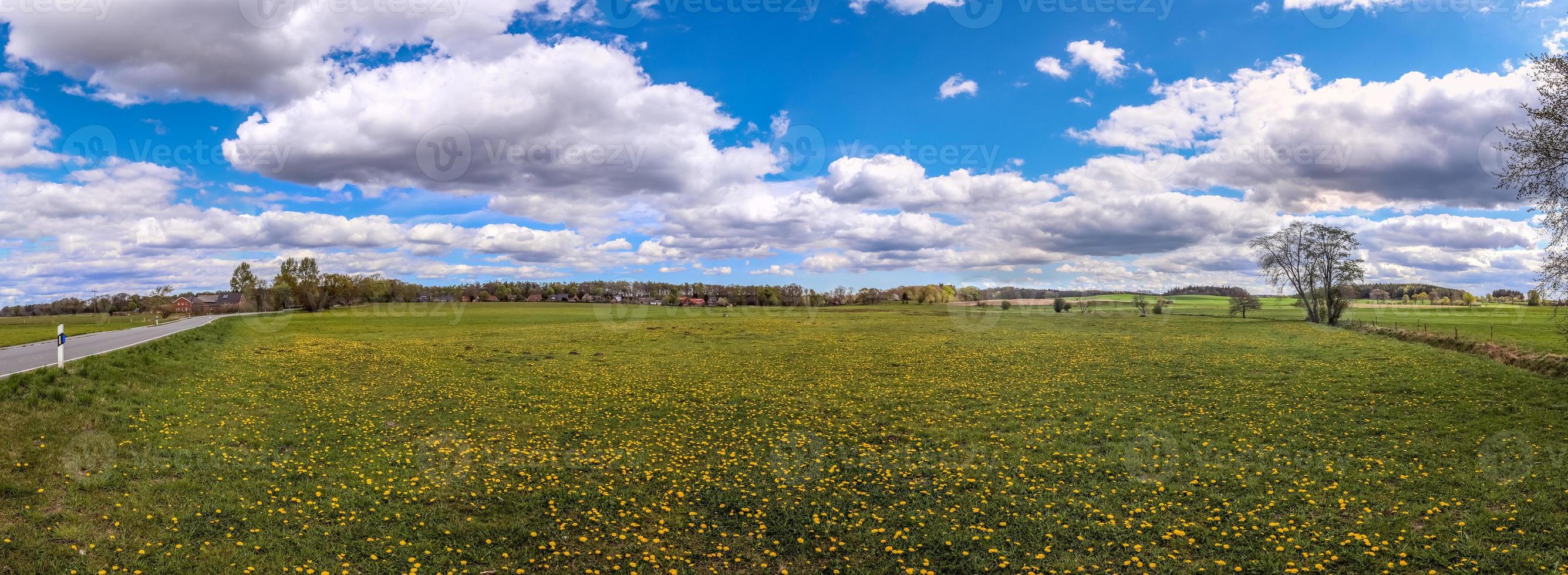 Beautiful high resolution panorama of a northern european country landscape with fields and green grass photo