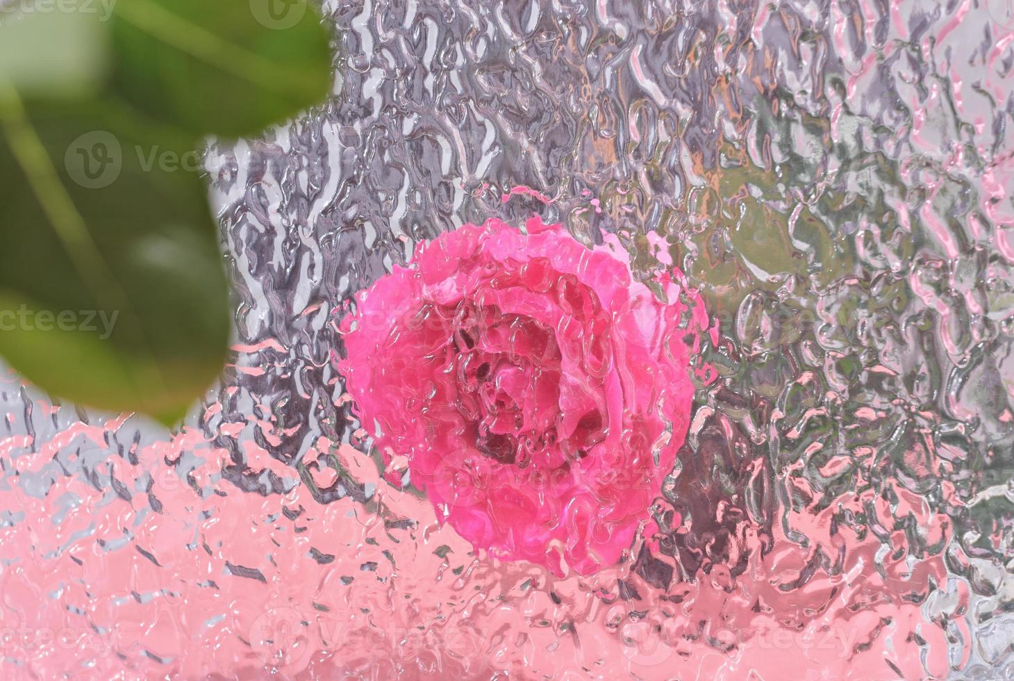 fondo de vidrio borroso texturizado con flor de rosa detrás. flor rosa desenfocada. fondo para sitio web o publicidad, contenido de vacaciones de blogger, foto