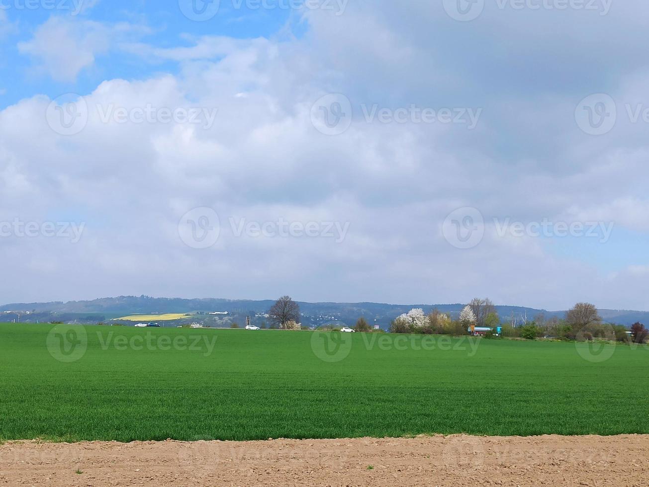 Open space in the city. Well-groomed fields with power lines photo