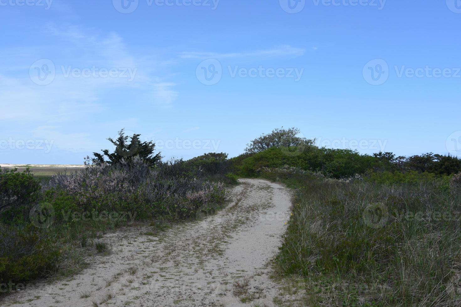 Dirt Pathway Over Wetlands and Marsh on the Cape photo