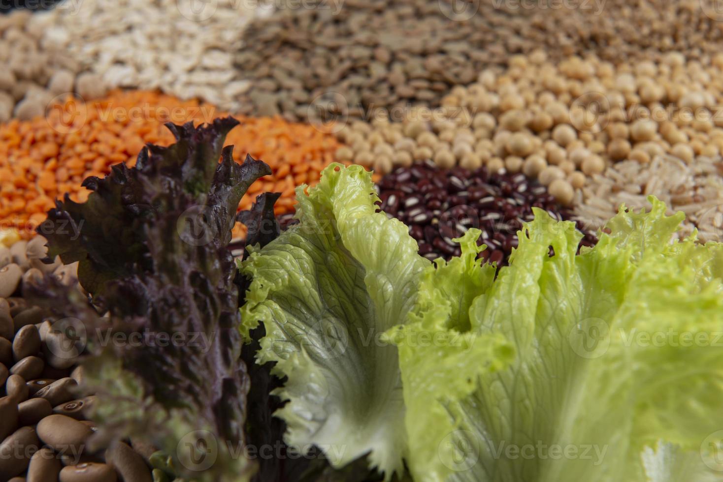 Big collection of different cereals and edible seeds. Fiber source examples photo