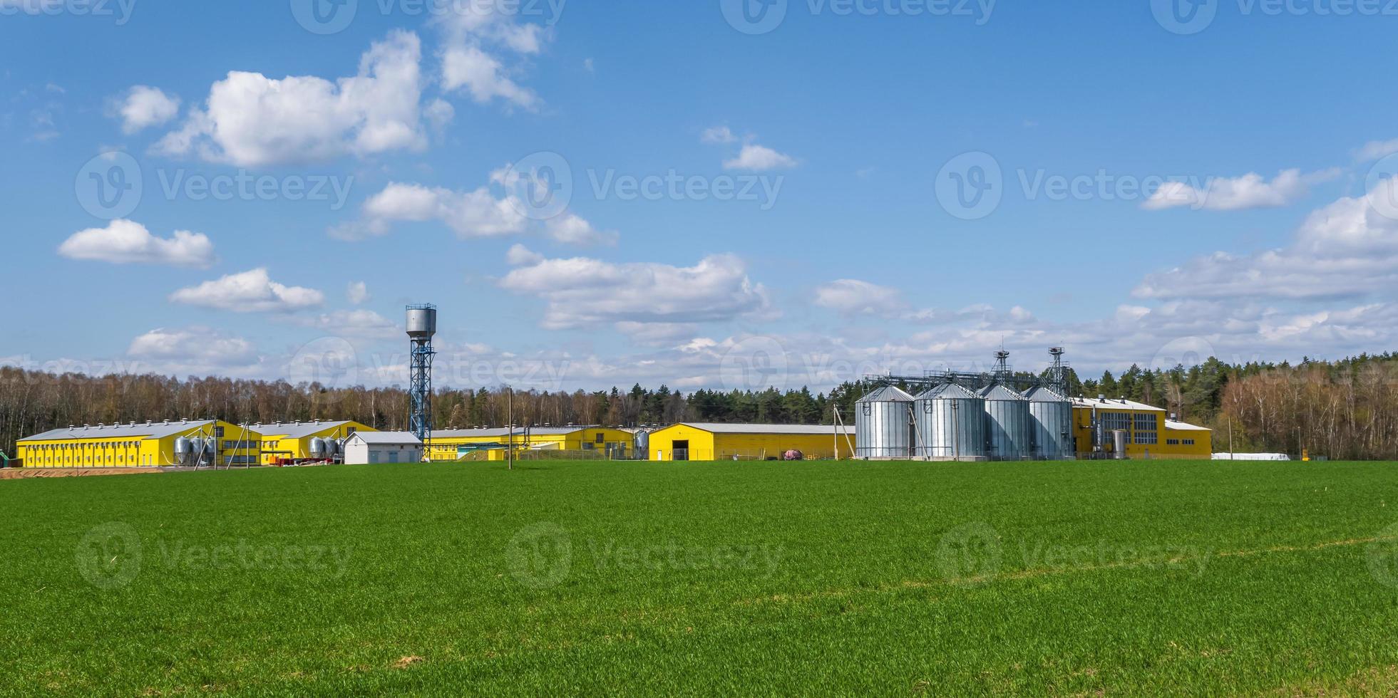 panorama view on agro silos granary elevator on agro-processing manufacturing plant for processing drying cleaning and storage of agricultural products, flour, cereals and grain. photo